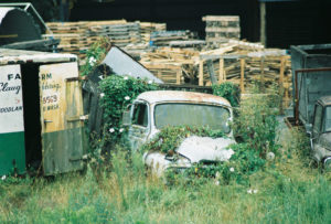 Abondoned truck, covered in weeds