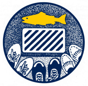 What can I do to help prevent stormwater pollution?