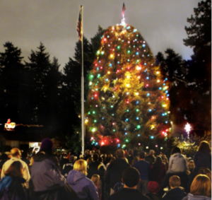Alice Peers Park, Tree Lighting
