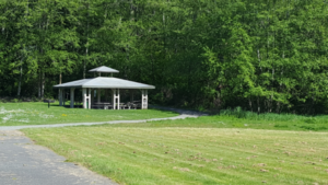 Wittier Park Covered picnic area