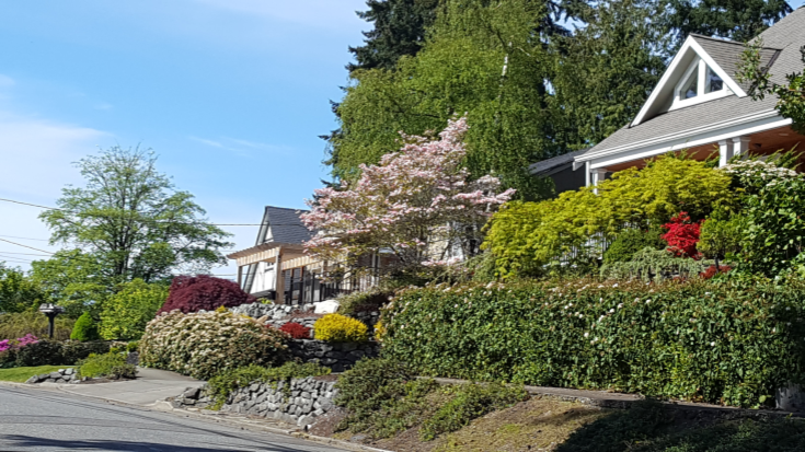 Neighborhood Streetscape