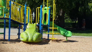 Play toy with frog slide in tot lot