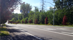 New Sidewalk and Street Trees along Emerson