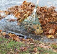 Fall and Winter Storm Clean-Up