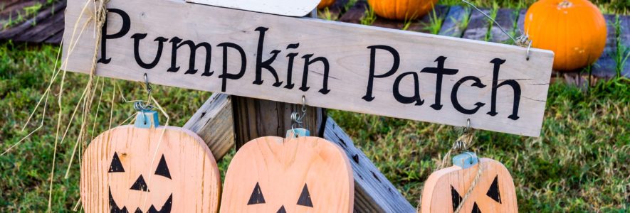 Wooden Pumpkin Patch Sign