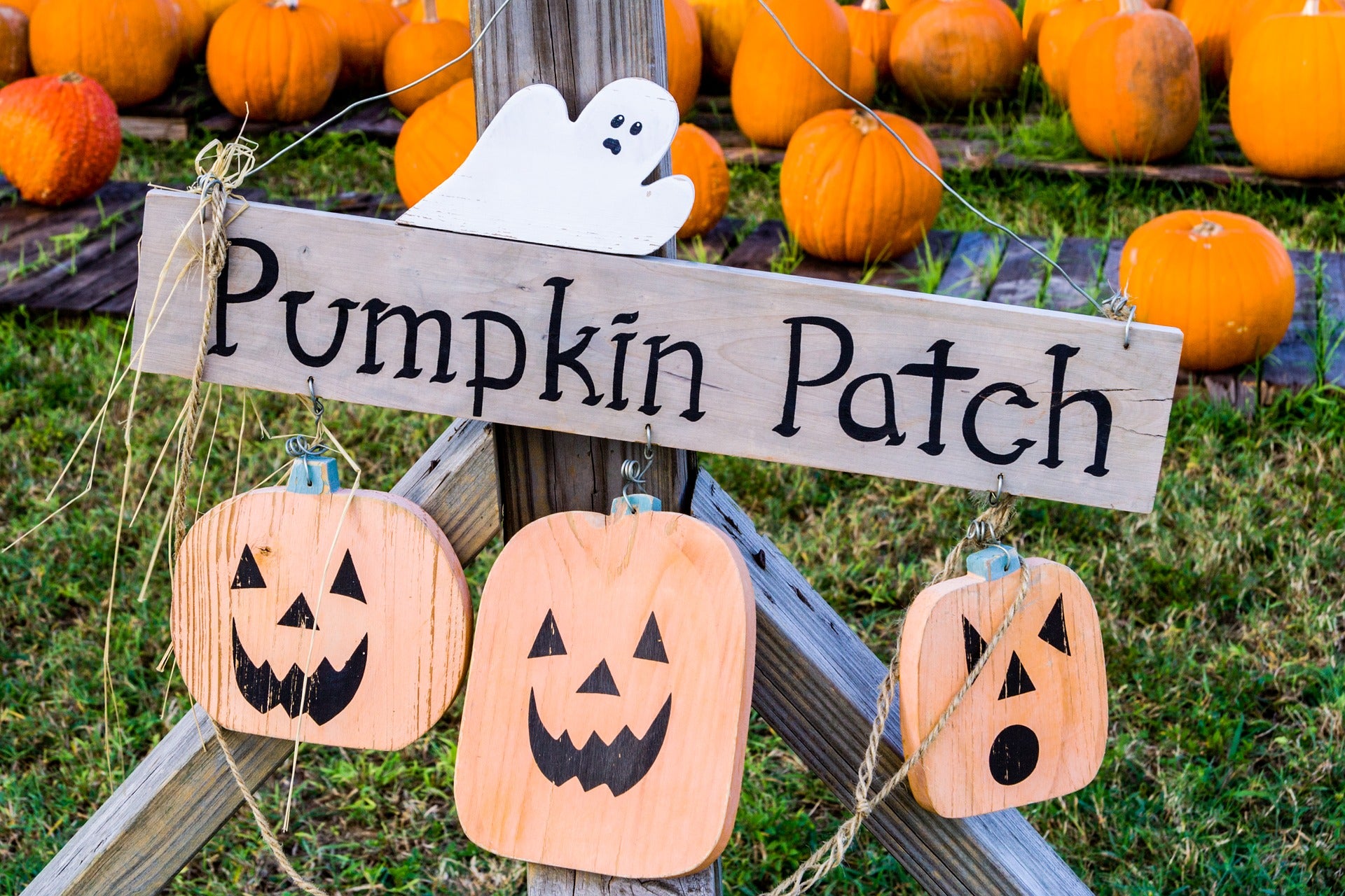 Wooden Pumpkin Patch Sign.