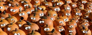 sea of pumpkins with google eyes