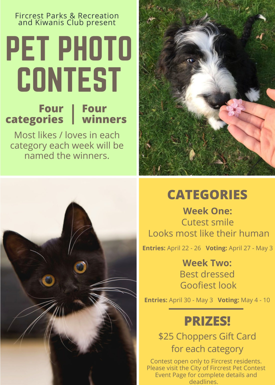 Pet Valu Photo Contest 2024 Calendar Janot Loralee