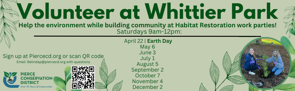 Volunteer at Whittier Park - Help the environment while building community at Habitat Restoration work Parties! Saturdays 9am-12pm: April 22 | Earth Day, May 6, June 3, July 1, August 5, September 2, October 7, November 4, December 2. Sign up at Piercecd.org with questions. Pierce Conservation District Over 70 Years of Conservation.